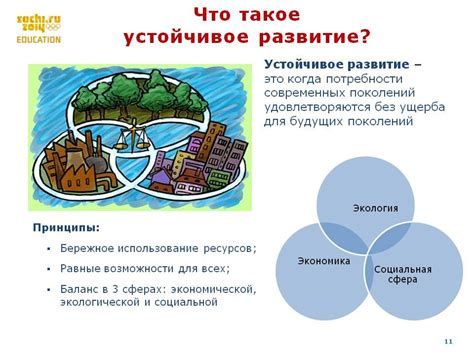 Экологические проблемы и устойчивое развитие