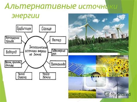 Экологические решения в повседневной жизни: от утилизации мусора до использования альтернативных источников энергии