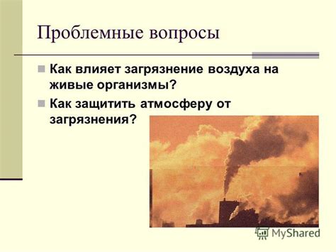 Экологический баланс: как загрязнение воздуха влияет на живые организмы и экосистемы?