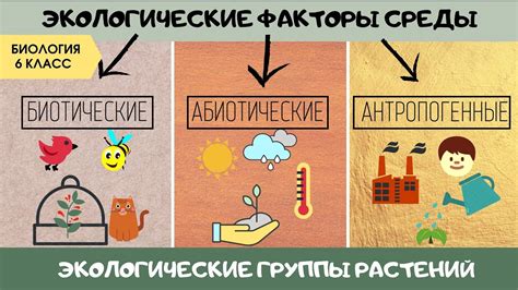 Экологический фактор