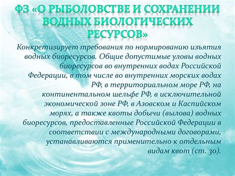 Экологически безопасные приманки для водных акваторий: забота о сохранении рыбных ресурсов