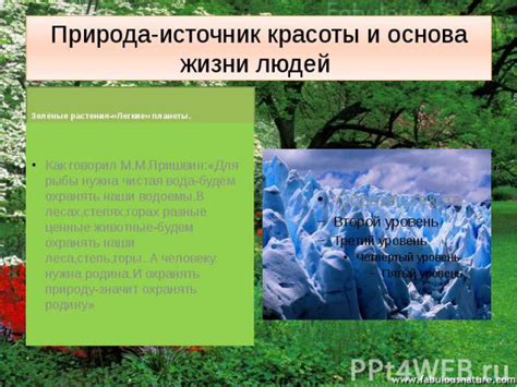 Экологическое сознание и его роль в современной жизни