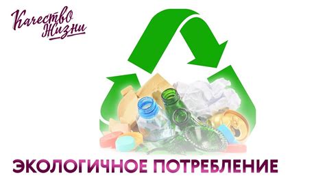 Экологичное потребление: примеры сегодняшнего мира