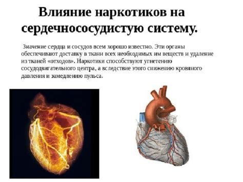 Экономические последствия и перспективы решения проблемы