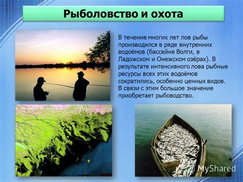 Экономическое значение Энского квадрата моря: рыболовство и морские ресурсы