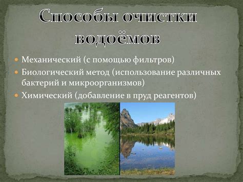 Экосистема водоемов