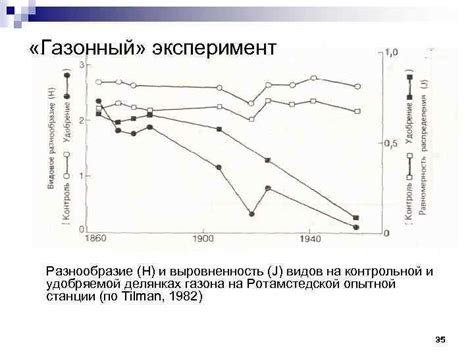 Эксперимент и разнообразие