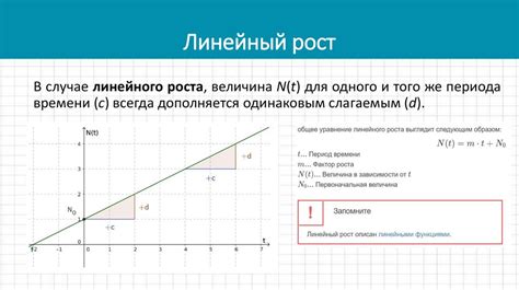 Экспоненциальный рост: понятие и принципы