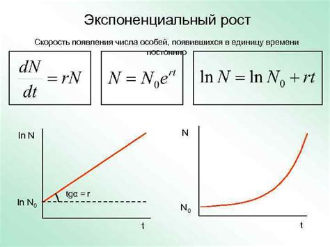 Экспоненциальный рост в технологиях