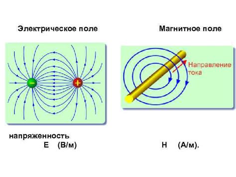 Электромагнитные поля