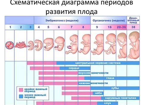 Эмоции, вызываемые снами о беременности у женщин