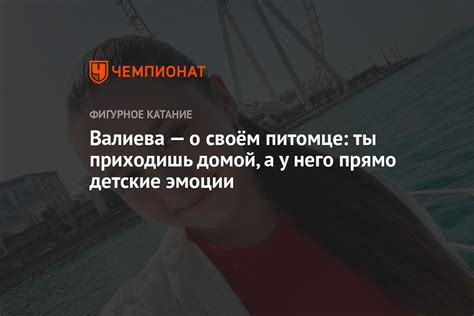 Эмоции, вызываемые сном о пропавшей питомце, возвращающейся домой