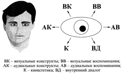 Эмоциональное значение движения зрачка