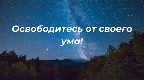 Эмоциональное присутствие: способность жить в настоящем моменте