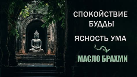 Эмоциональный оттенок снов: от тревоги до восхищения