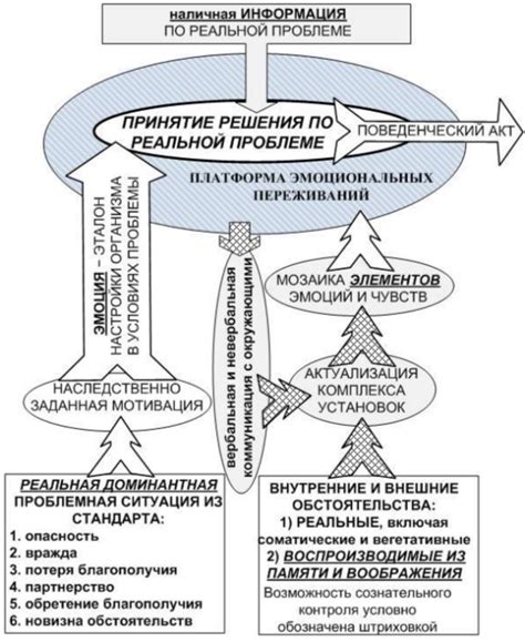 Эмоциональный потенциал сновидений: как обрабатываются переживания