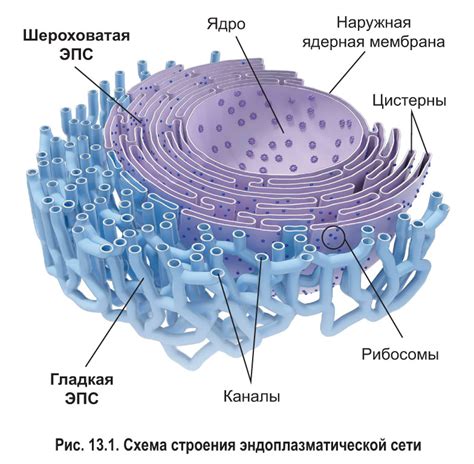 Эпс для фасадов