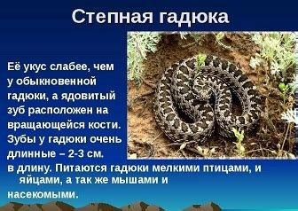 Эротическая толкование снов о темном гадюке в водной стихии у представительниц прекрасного пола