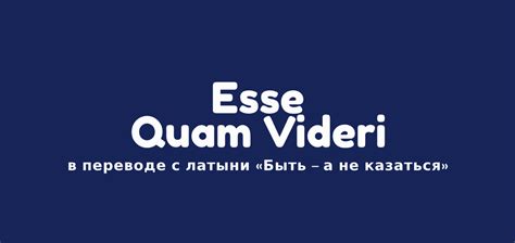 Эстетическое и философское значение фразы "реквием по мечте"