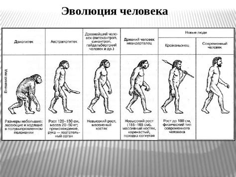 Этапы обкатки человека