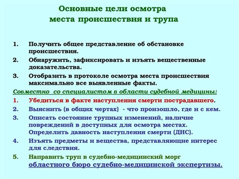 Этапы проведения осмотра