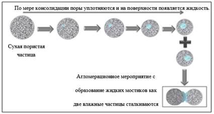 Этапы процесса грануляции