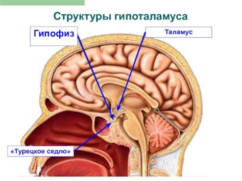 Этапы создания пустого седла