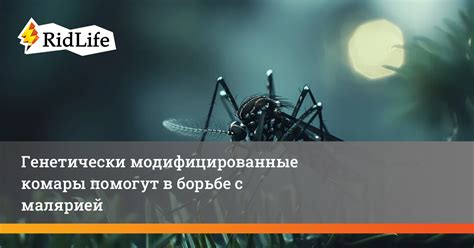 Эффективность горечи в борьбе с малярией