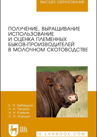 Эффективность использования племенных быков в мясном животноводстве