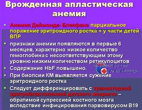 Эффективные методы лечения апластической анемии