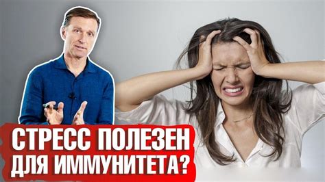 Эффект отсутствия стресса на организм