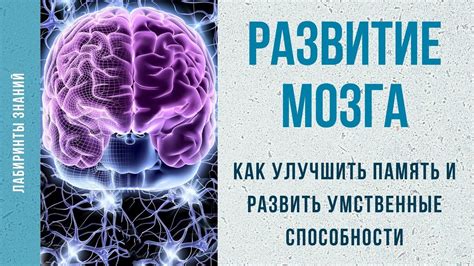 Эффект регресса процесса на память и умственные способности