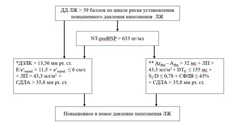 Эхокардиография в диагностике диастолической дисфункции левого желудочка