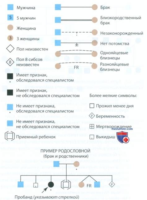 Юридические аспекты наследования с точки зрения снов: