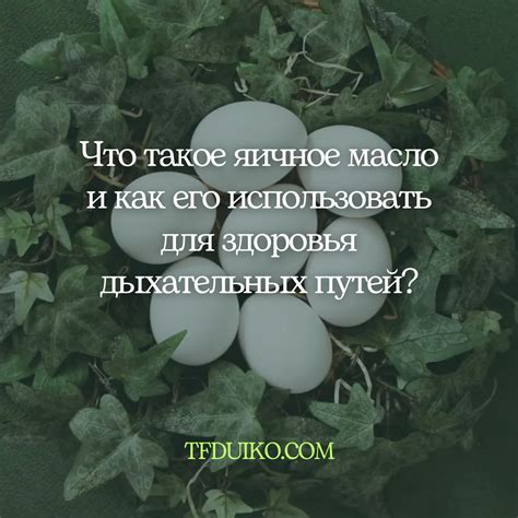 Яичное белко во сне как символ репродуктивной энергии и плодородия