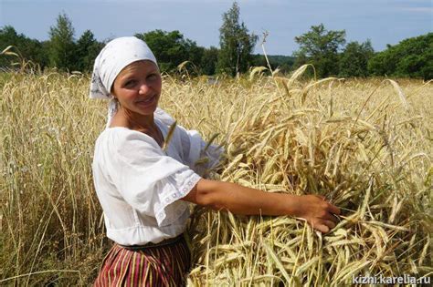 Яровая культура: роль и значение в сельском хозяйстве