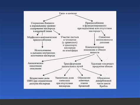  Влияние внешних факторов на возникновение звука дыхания во время сна 