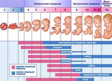  Влияние возраста на значение сновидений о беременности у женщины с детьми 