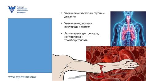  Влияние стресса и неустойчивой психологической обстановки на популярность ужасных сновидений 