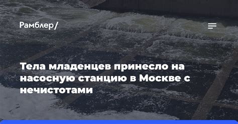  Восприятие снов, содержащих сцены с нечистотами, в разных культурах 