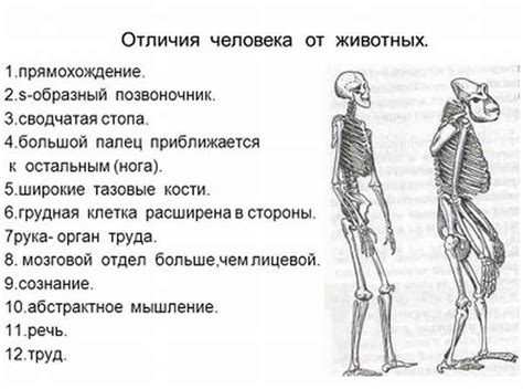  Главные признаки тертого человека 