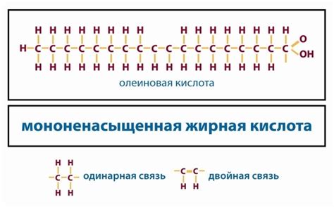  Значение ненасыщенных жирных кислот 