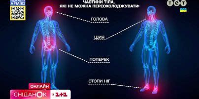  Интерпретация: намеки, которые передает символика сна о частях тела кролика 