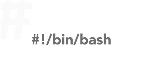  Использование bin bash 