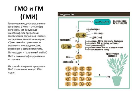  Какие различия между ГМО и ГМИ? 