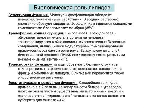  Какой эффект оказывает на питательность в организме? 