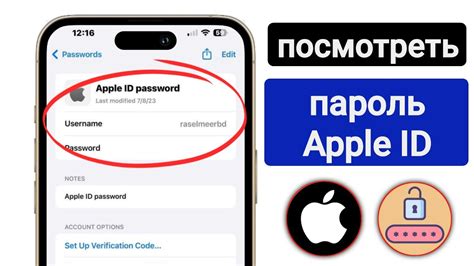  Как восстановить доступ к iPhone, если забыли id? 