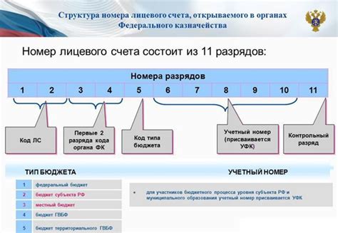  Как работает казначейский счет? 