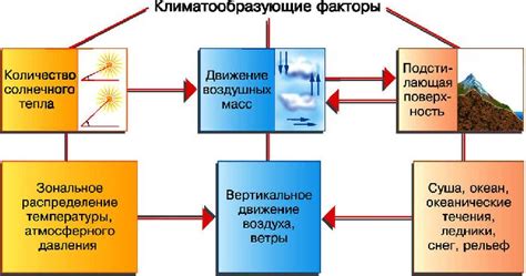  Климатические факторы и сезонные изменения 