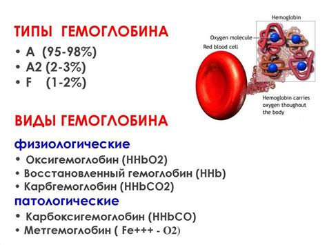  Концентрация гемоглобина и гематокрит 